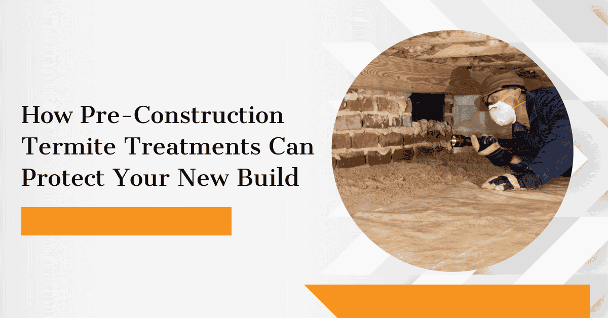 Termite Treatments for New Builds | Kingsman Pest