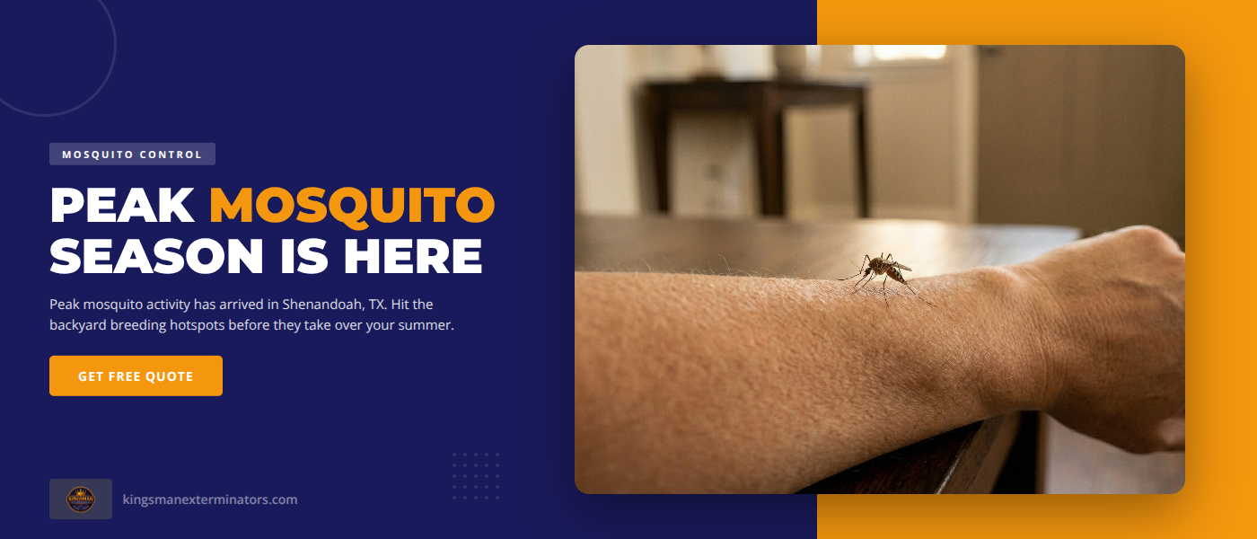 Why Peak Mosquito Season Has Arrived in Shenandoah, TX — and How to Reclaim Your Backyard
