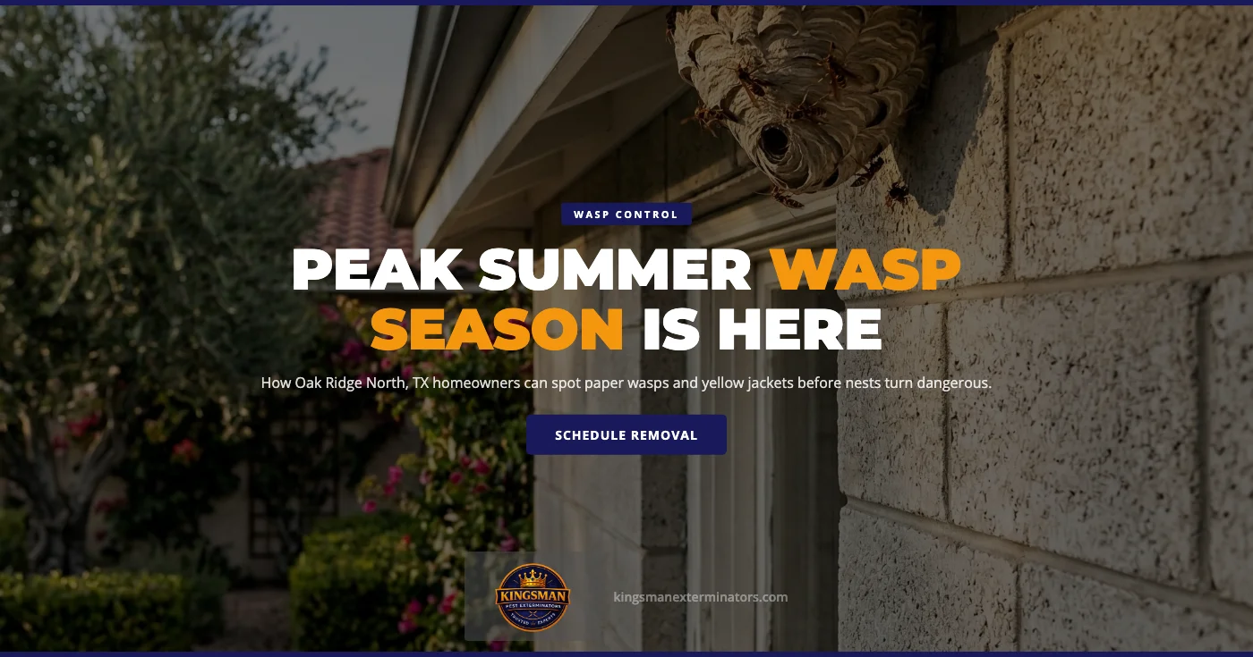 Peak Summer Wasp Season in Oak Ridge North, TX: Yellow Jackets, Paper Wasps, and When Nests Become a Serious Threat