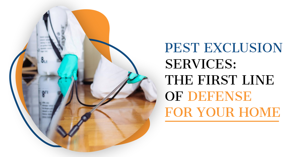 Pest Exclusion: Your First Defense | Kingsman Pest
