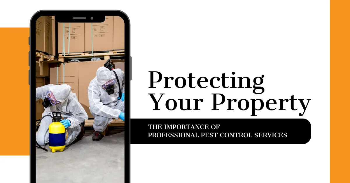 Why Professional Pest Control Matters | Kingsman Pest