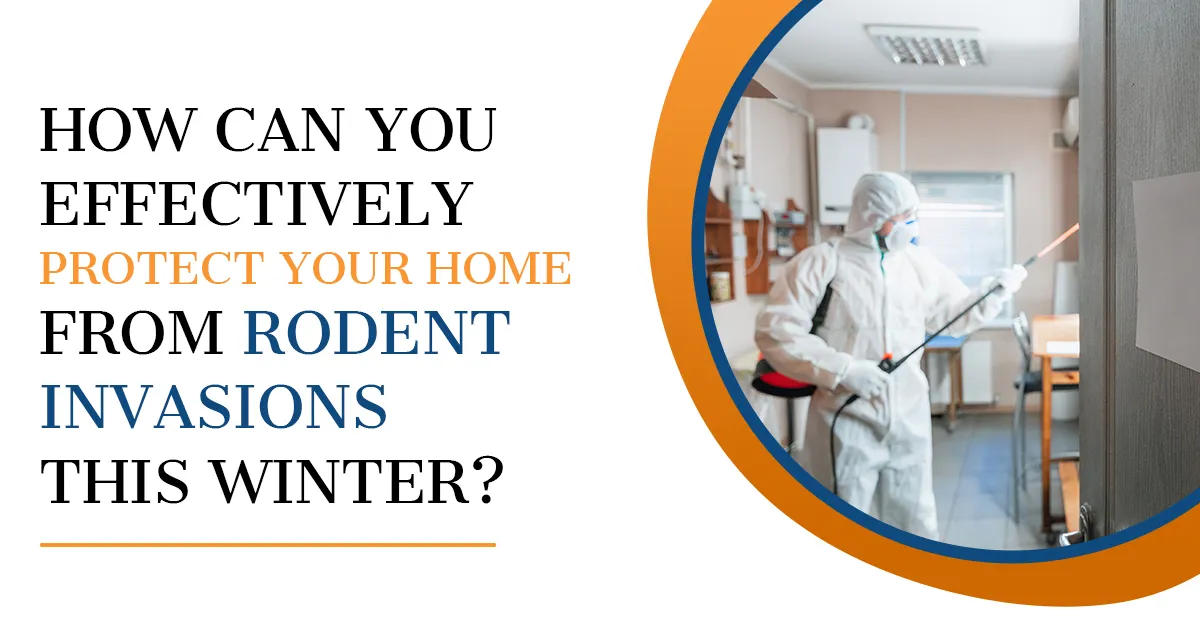 Winter Rodent Prevention Tips | Kingsman Pest