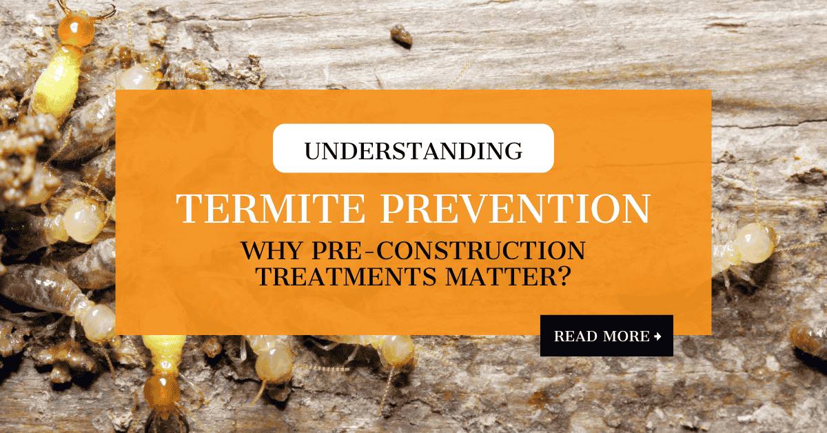 Termite Prevention: Pre-Construction Tips | Kingsman Pest