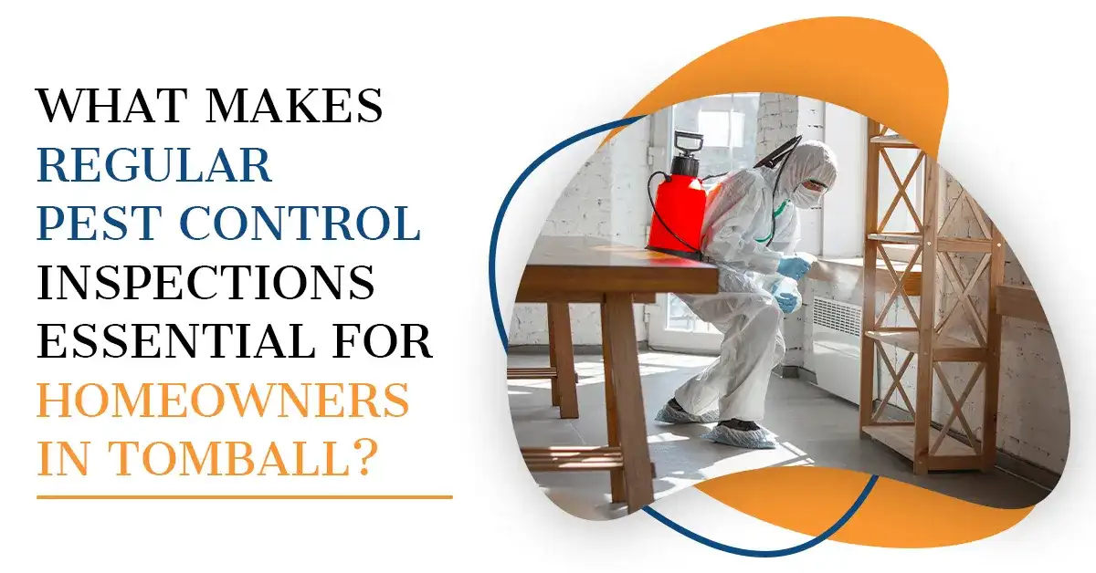 Pest Inspections for Tomball Homeowners | Kingsman Pest