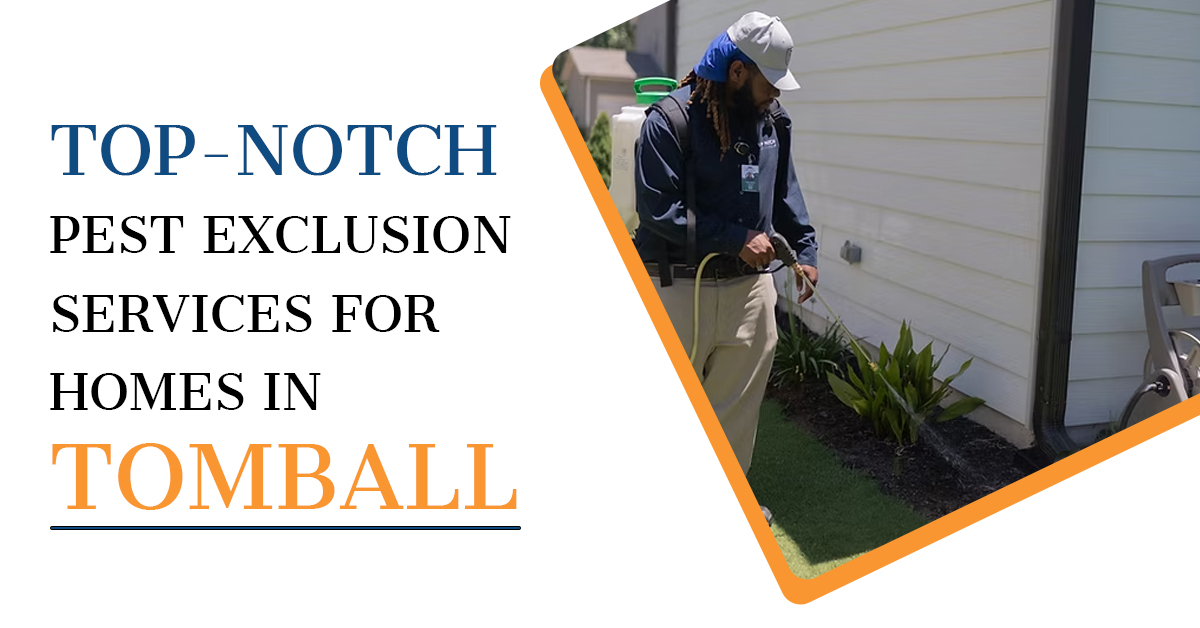 Professional Pest Control Benefits | Kingsman Pest