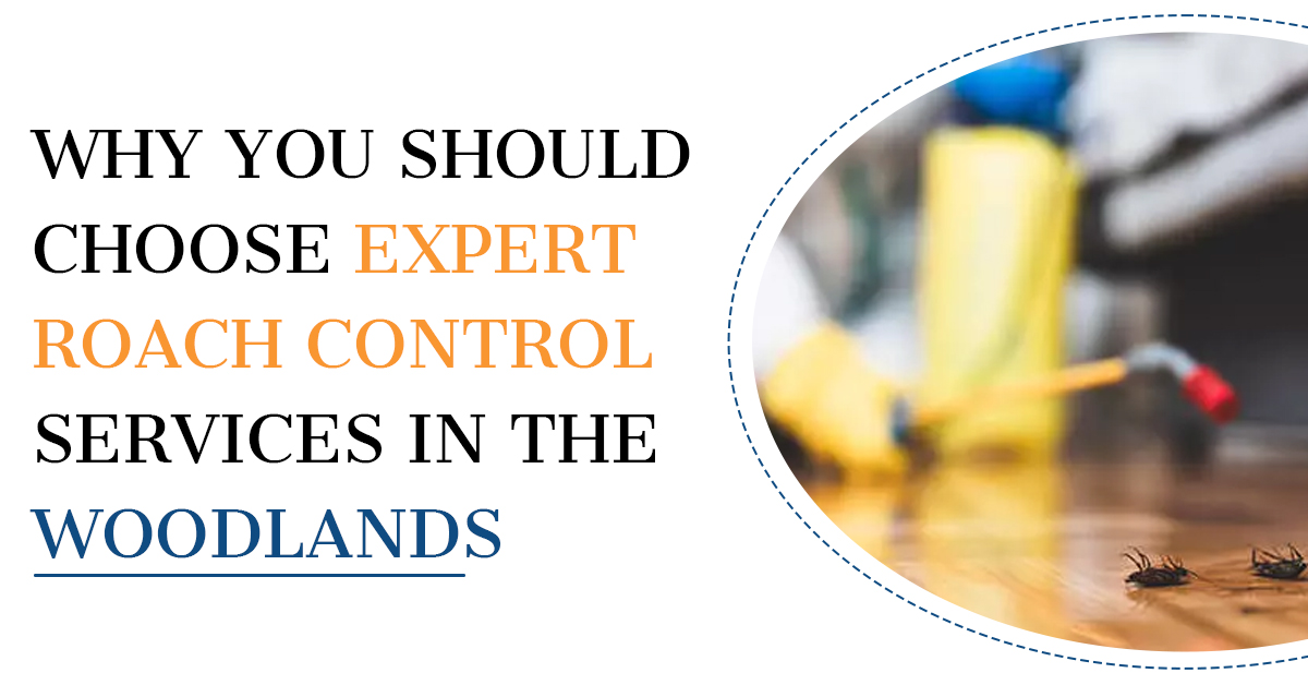 Roach Control in The Woodlands | Kingsman Pest